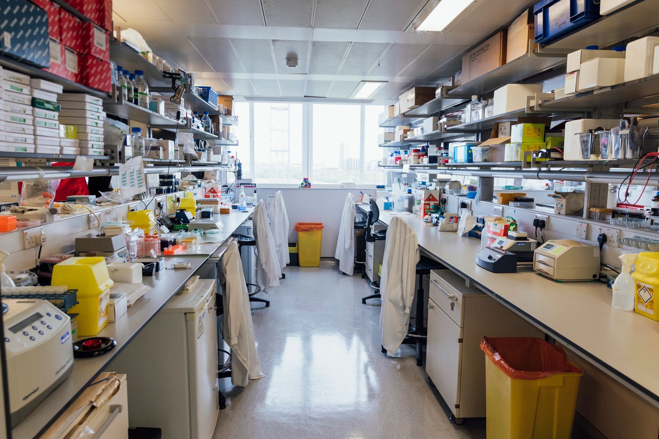 Modern biomedical laboratory workspace with research equipment