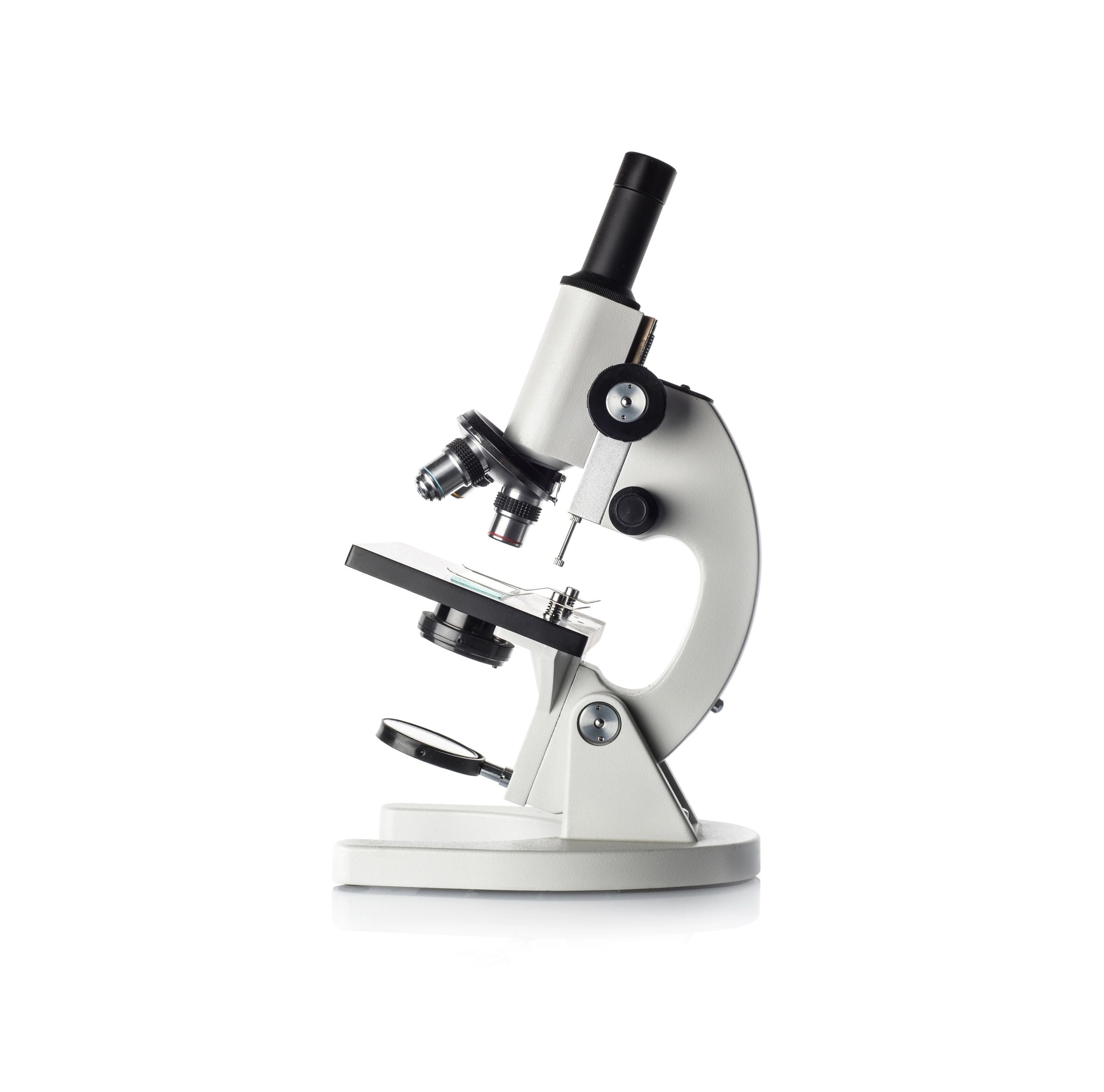 Microscope representing tissue science and quality processes